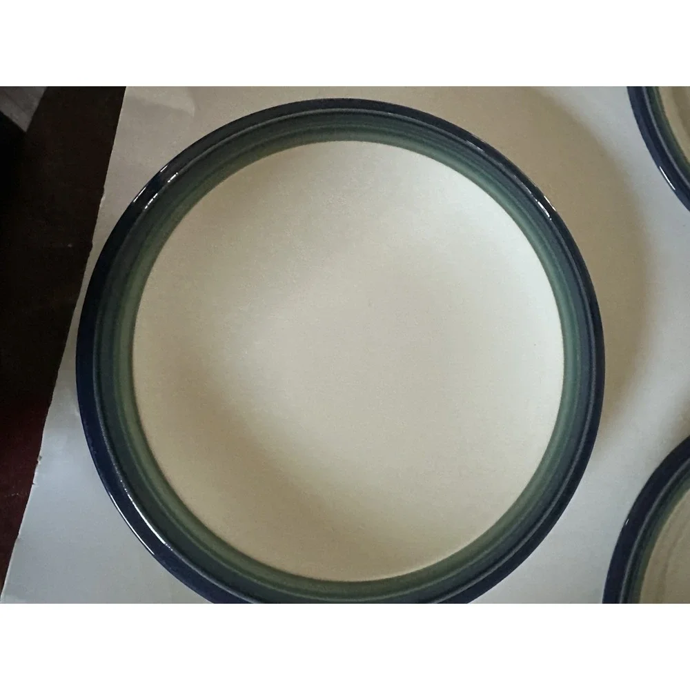 Set of 4- Pfaltzgraff Ocean Breeze Stoneware Dinner Plates